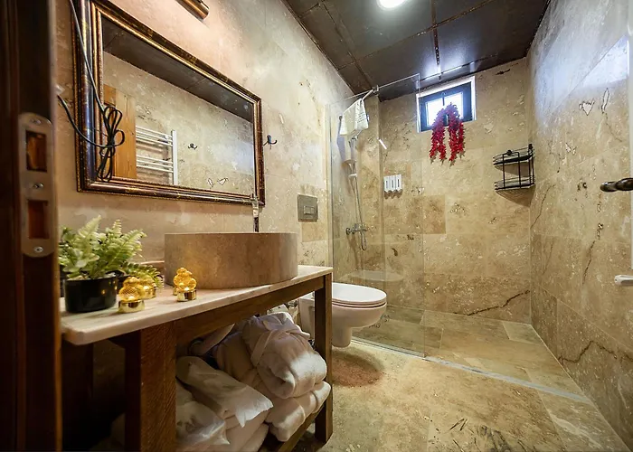 Abra Stone House 内夫谢希尔