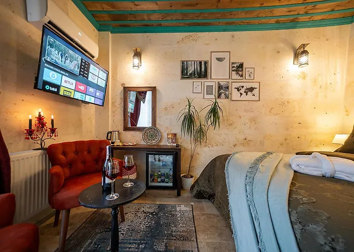 Abra Stone House 内夫谢希尔