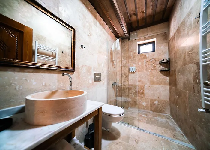 Abra Stone House 内夫谢希尔