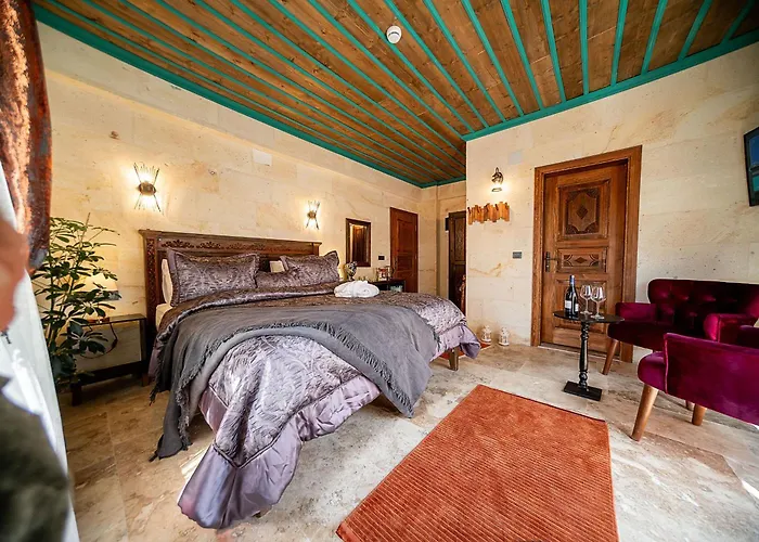 Abra Stone House 内夫谢希尔