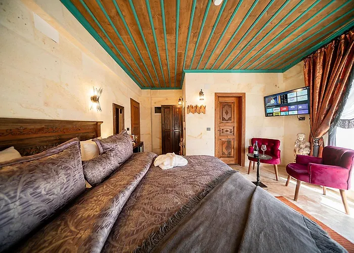 Abra Stone House 内夫谢希尔