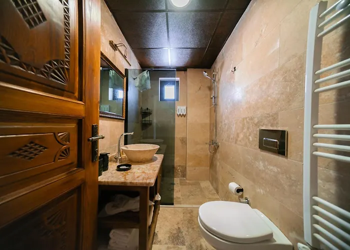 Abra Stone House 内夫谢希尔