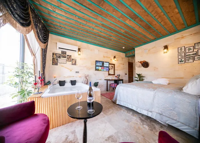 Abra Stone House 内夫谢希尔