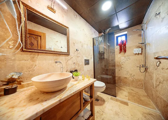 Abra Stone House 3* 内夫谢希尔